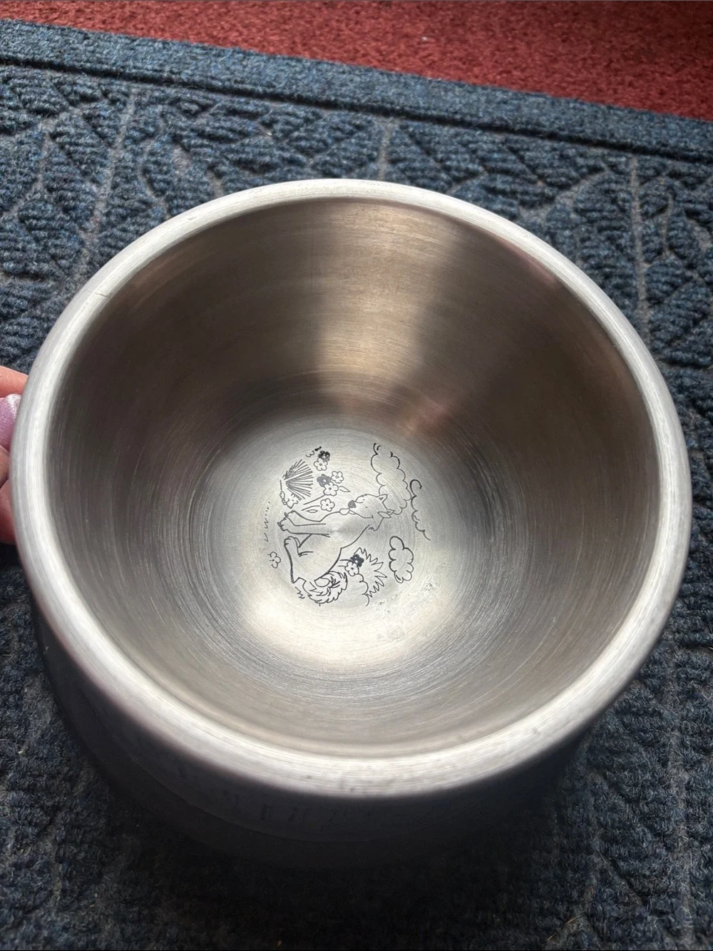 Stainless Steel Bowl with Cute Fox Illustration
